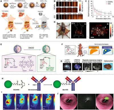 Recent Advances in Second Near-Infrared Region (NIR-II) Fluorophores and Biomedical Applications